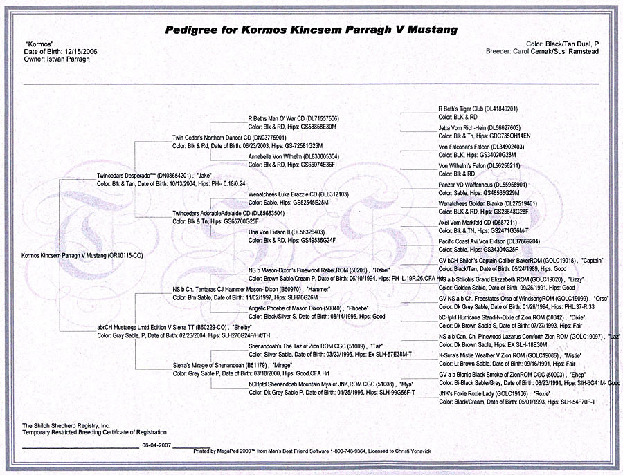 Kormos - International Shiloh Shepherd Champion - Four Generation Pedigree - Click Image to Close