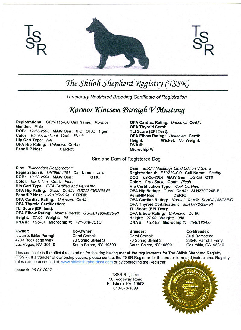 Kormos - International Shiloh Shepherd Champion - Registration - Click Image to Close