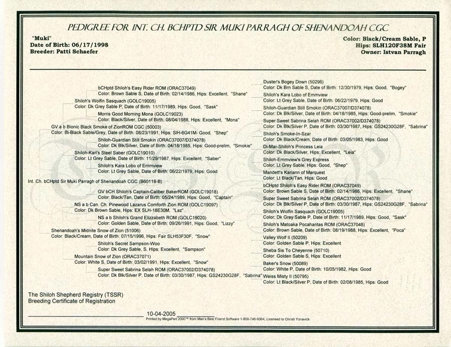 SirMuki - International Shiloh Shepherd Champion - Four Generation Pedigree - Click Image to Close
