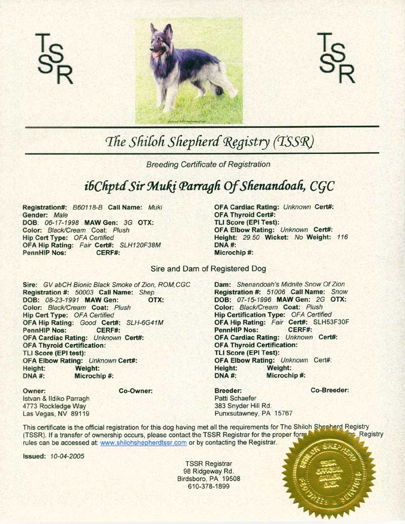 SirMuki - International Shiloh Shepherd Champion - Registration - Click Image to Close